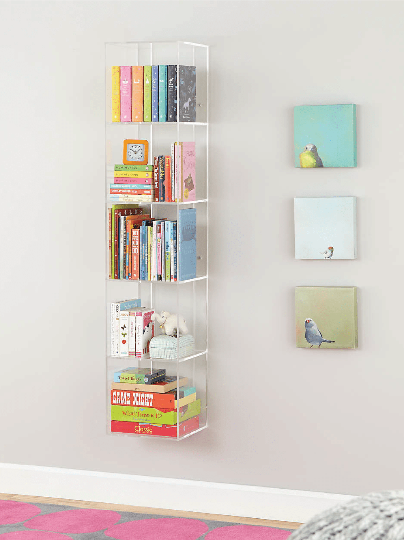 Acrylic Shelf Bookcase