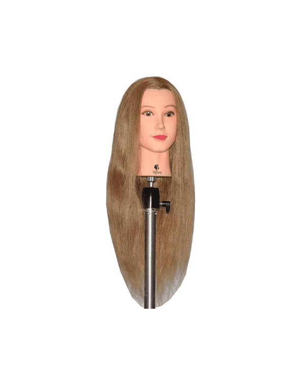 Cosmetology Mannequin Head with Human Hair