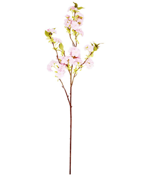 Cherry Blossom Stems