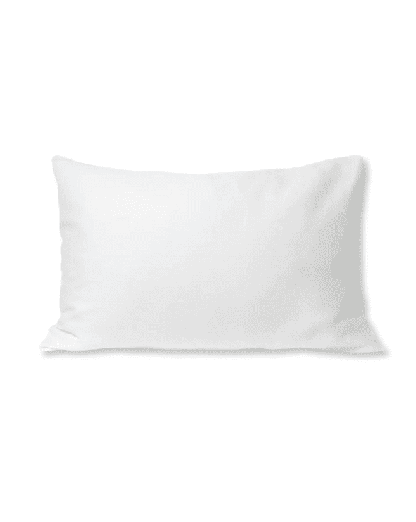 Antibacterial Pillow Case