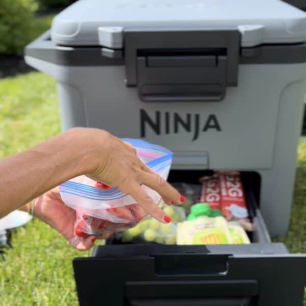 Keeping Things Cool with the Ninja FrostVault