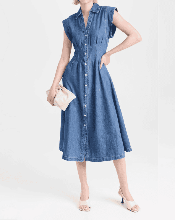 Veronica Beard Jean Dress