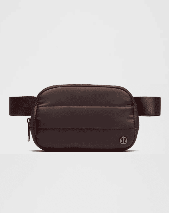 Everywhere Belt Bag