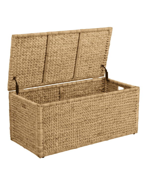 Wicker Storage Trunk