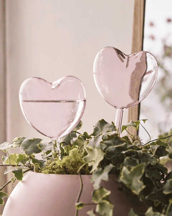 Heart Watering Globes