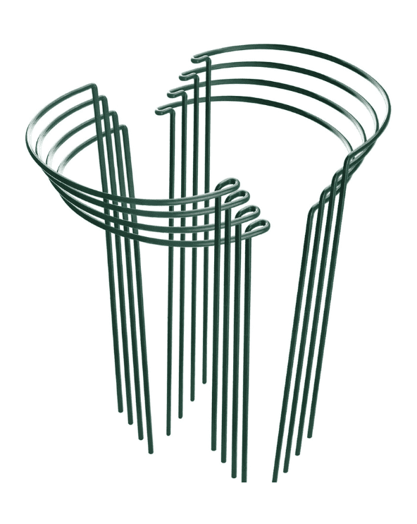 Plant Support Stakes