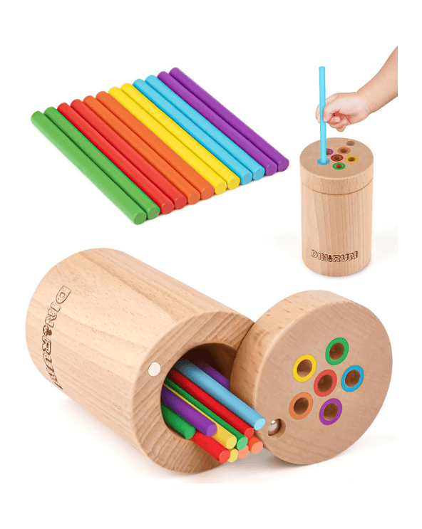Color Matching Wooden Toy