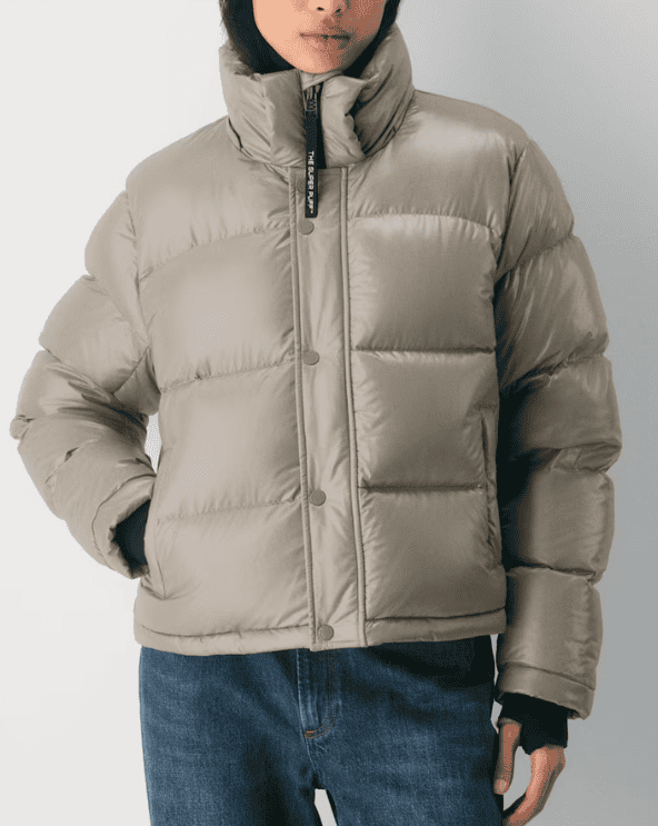 Aritzia Puffer Coat