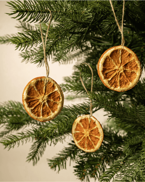 Dried & Boxed Orange Slice Ornaments