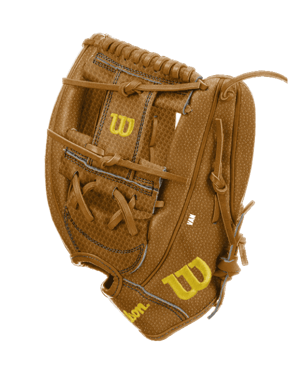 Custom Baseball Glove