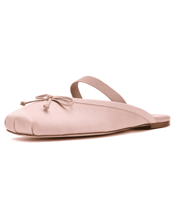 Ballet Mule