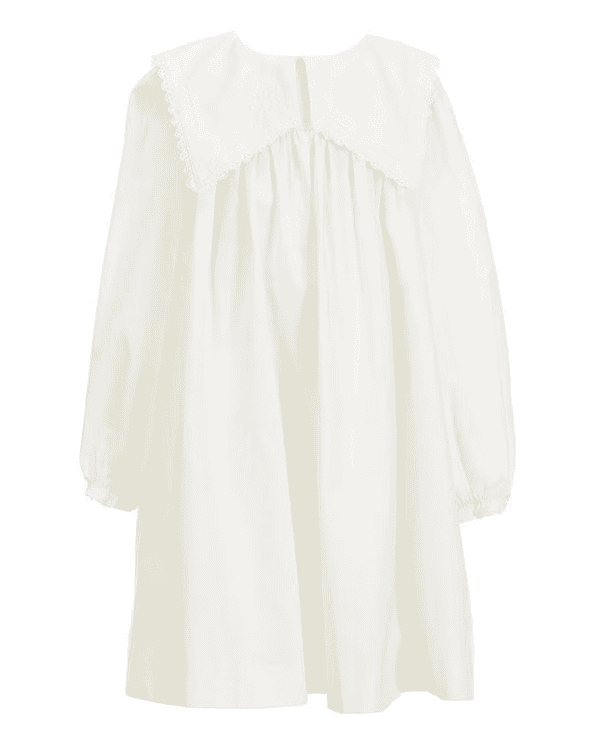 Embroidered Long Sleeve Dress