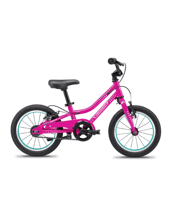 Guardian Kids Bike