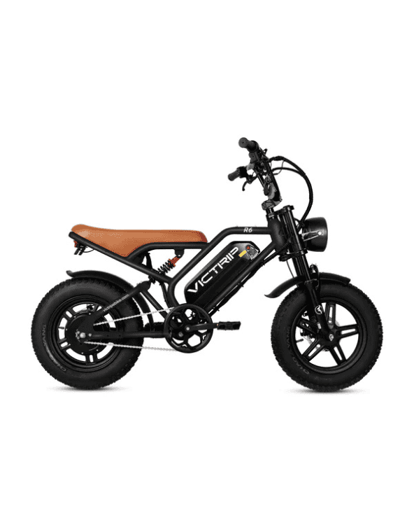 Off Road Ebike